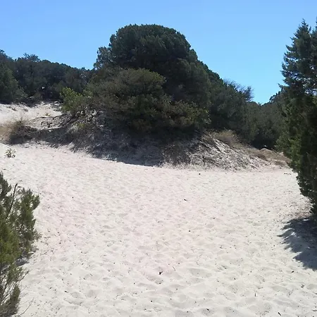 Shardana Holidays Cagliari